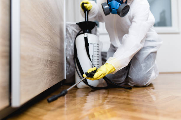 Best Cockroach Control Services  in Delphi, IN