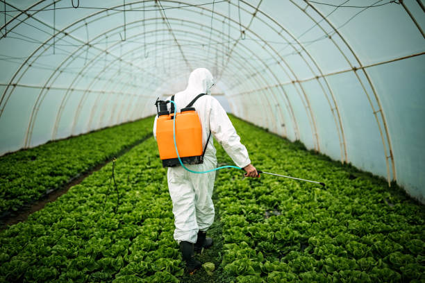 Best Pest Control Near Me  in Delphi, IN
