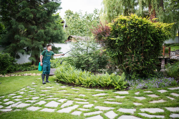 Professional Pest Control in Delphi, IN