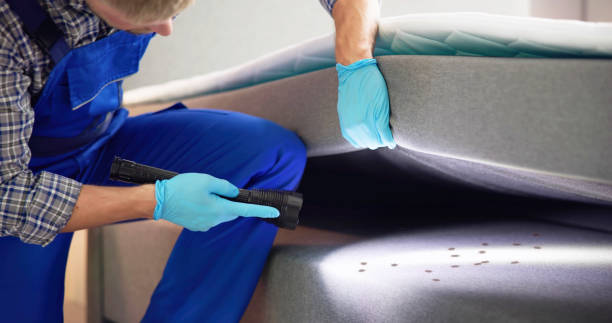 Best Emergency Pest Control  in Delphi, IN